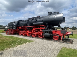 46-IMG_4547 (Groot)