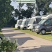 49-IMG_4582 (Groot)