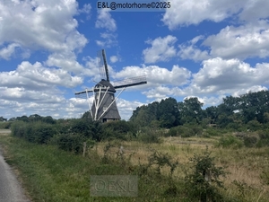 52-IMG_4590 (Groot)