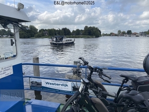 58-IMG_4616 (Groot)