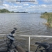 62-IMG_4644 (Groot)
