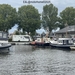 64-IMG_4655 (Groot)