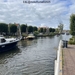 66-IMG_4660 (Groot)