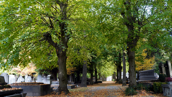 Herfst-roeselare-2025