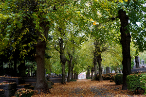 Herfst-sfeer-okt.2025-09