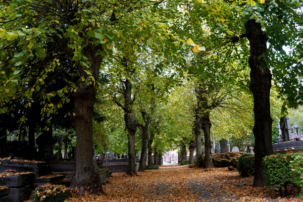 Herfst-sfeer-okt.2025-09