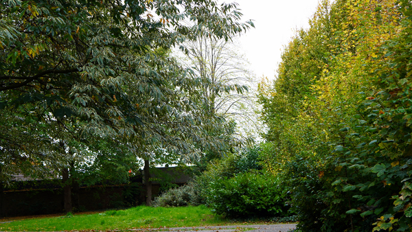 Herstsfeer-Roeselare-3