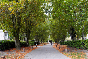 Roeselare-Herfstsfeer-0ktober2025-01