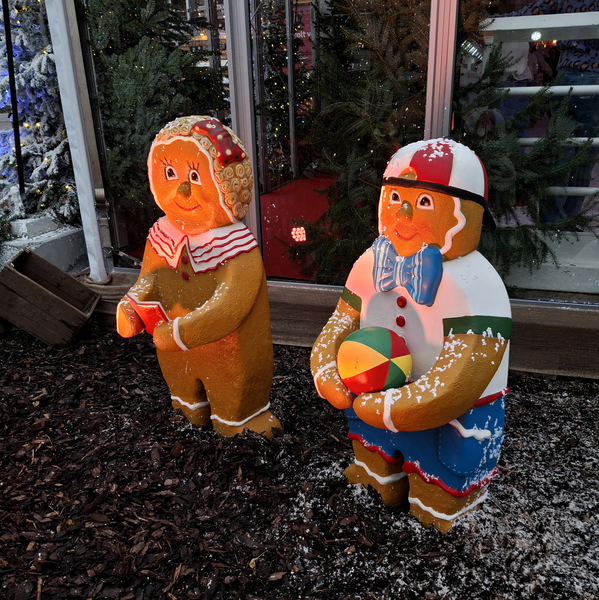 Kerstmarkt-Roeselare-2025-6