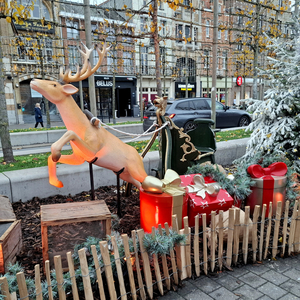 Kerstmarkt-Roeselare-2025-7