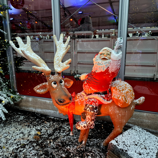 Kerstmarkt-Roeselare-2025-8