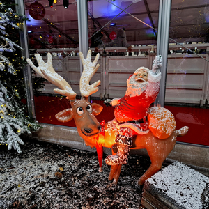 Kerstmarkt-Roeselare-2025-9