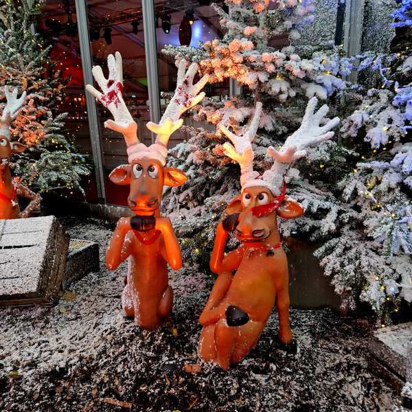 Kerstmarkt-Roeselare-2025-10