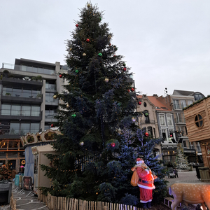 Kerstmarkt-Roeselare-2025-35