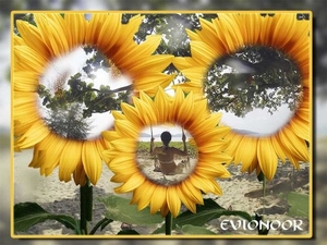 Evionoor-4