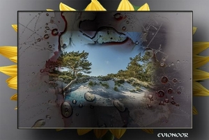 Evionoor-8
