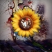 Joren