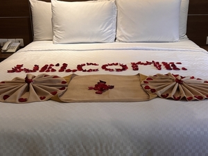 IMG_0912