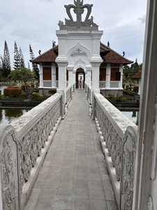 IMG_1234