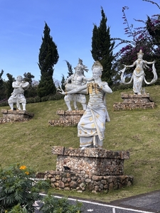 IMG_1361