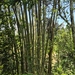 0C2E333D-D8BC-4467-9A44-73920E77DDC1