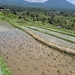 9C0E1700-7ED6-46DB-B6E7-E74952FE5966