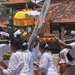 IMG_2644