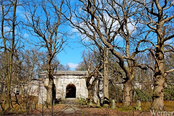 06_IMG_2728_2025-03-16-zo_proefrit-003_Klokken-rit_Erftbrandbos&b