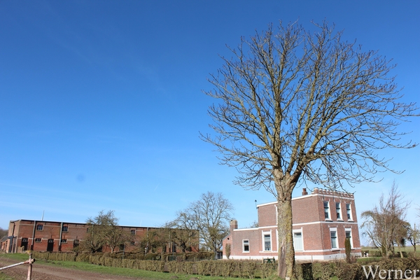 10_IMG_2507_2025-02-23-zo_proefrit-002=ochtenrit_tNoorden_Klokken