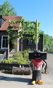 12_IMG_3626_2025-05-01-do_proefrit-005_Klokken-rit____NL-brievenb