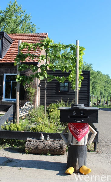 12_IMG_3626_2025-05-01-do_proefrit-005_Klokken-rit____NL-brievenb