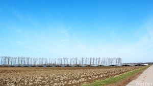 13_IMG_2508_2025-02-23-zo_proefrit-002=ochtenrit_tNoord_Klokken-r