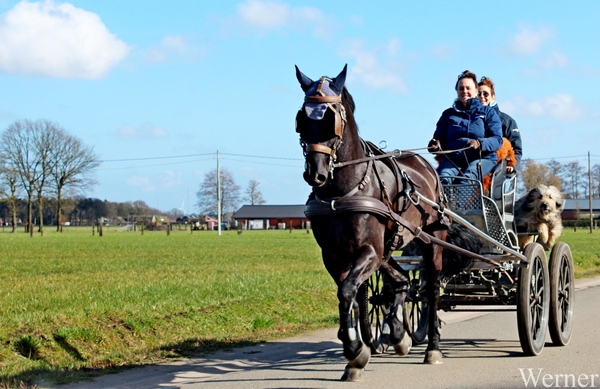 15_IMG_2531_2025-02-23-zo_proefrit-002=ochtenrit_Klokken-rit___Ru