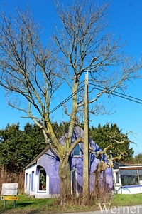 18b_IMG_2751_2025-03-16-zo_proefrit-003=ochtenrit_Klokken-rit_Paa