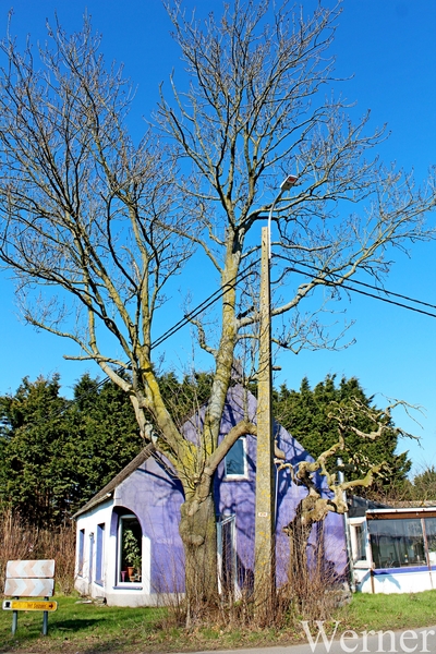 18b_IMG_2751_2025-03-16-zo_proefrit-003=ochtenrit_Klokken-rit_Paa