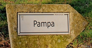 33_IMG_2461 _2025-02-16-zo_proefrit-001_tNoord_Klokken-rit_Pampa-