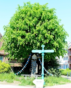 35_IMG_3639_2025-05-01-do_proefrit-005_Klokken-rit_Kapelleke@