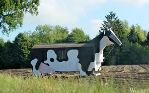 IMG_3717_2025-05-17-za_proefrit-011_Klokken-rit_final-check_koe-i