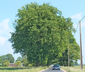 IMG_3938_2025-05-18-zo_Klokken-rit_vvk-apen_RiT2_Porsche-onder-bo