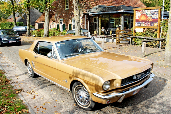 IMG_4332-12d_2025-10-12_vvk-Mech_Najaarsrit=Eten@Buren_tNekkermen