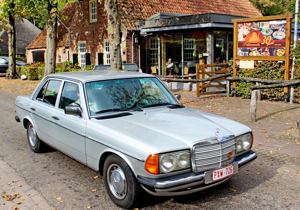 IMG_4331-12d_2025-10-12_vvk-Mech_Najaarsrit=Eten@Buren_tNekkermen