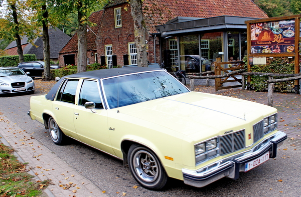 IMG_4325-12d_2025-10-12_vvk-Mech_Najaarsrit=Eten@Buren_tNekkermen