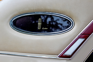 IMG_4319-12d_2025-10-12_vvk-Mech_Najaarsrit=Eten@Buren_tNekkermen