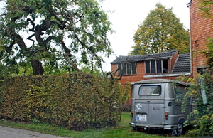 IMG_4296-12d_2025-10-12_vvk-Mech_Najaarsrit=Eten@Buren_onderweg_R