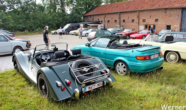 20_IMG_8153_vvk-Beringen_2025-07-13_Ardennenrit_Morgan-PuS4_MATT-