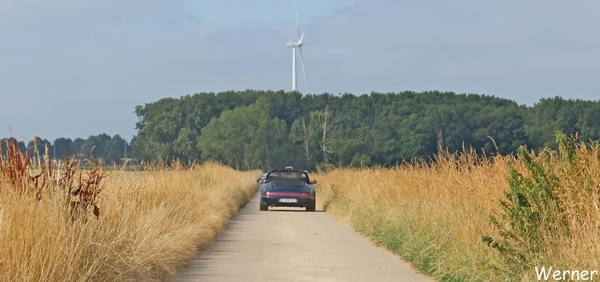 34_IMG_8169_vvk-Beringen_2025-07-13_Ardennenrit_Porsche-911-cabri