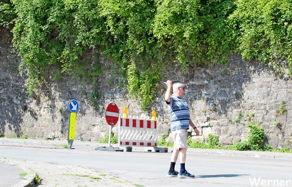 39_IMG_8179_vvk-Beringen_2025-07-13_Ardennenrit_onderweg_norberti