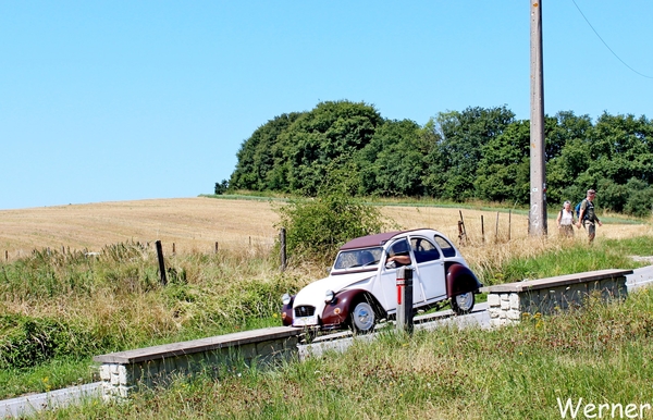 44_IMG_8191_vvk-Beringen_2025-07-13_Ardennenrit_onderweg_Bergaf-g