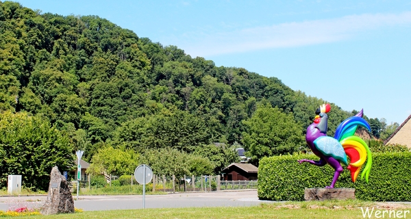 49_IMG_8198_vvk-Beringen_2025-07-13_Ardennenrit_Mooie-kip_euh_Haa