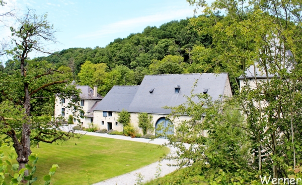 51_IMG_8202_vvk-Beringen_2025-07-13_Ardennenrit_binnen-tuintje@Ch